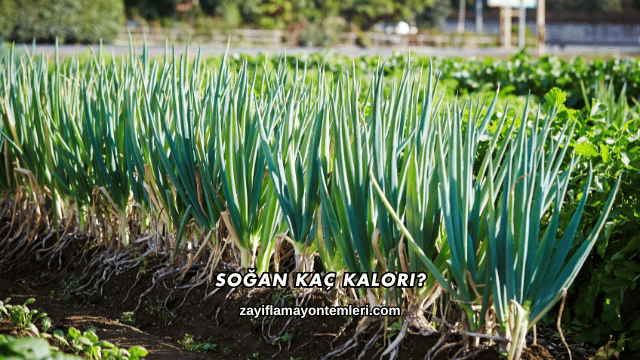 Soğan Kaç Kalori?