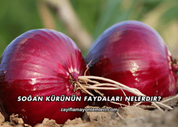 Soğan Kürünün Faydaları Nelerdir?