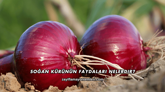 Soğan Kürünün Faydaları Nelerdir?