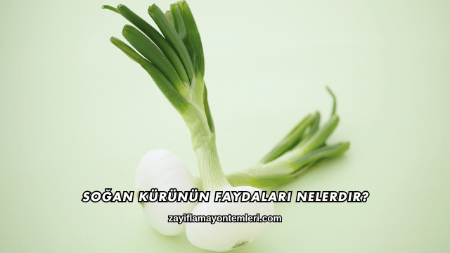 Soğan Kürünün Faydaları Nelerdir?