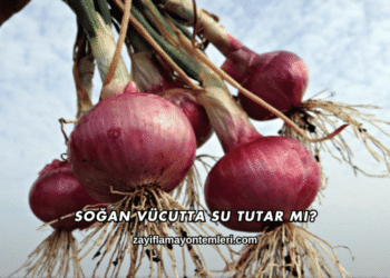 Soğan Vücutta Su Tutar mı?