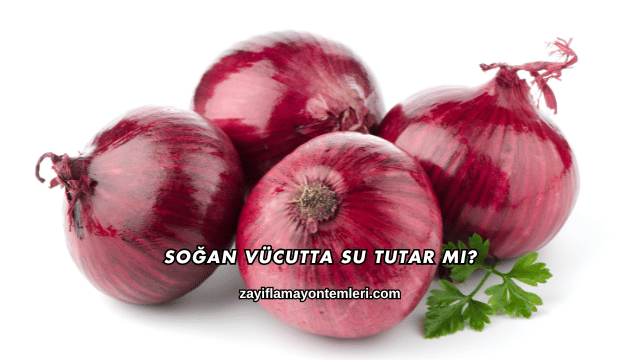 Soğan Vücutta Su Tutar mı?