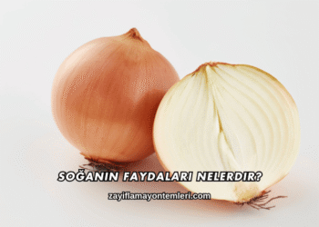 Soğanın Faydaları Nelerdir