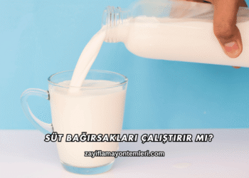 Süt Bağırsakları Çalıştırır mı?