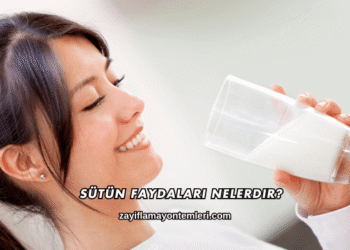 Sütün Faydaları Nelerdir?