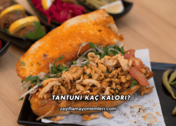 Tantuni Kaç Kalori?