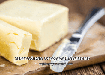 Tereyağının Faydaları Nelerdir?