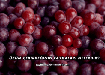 Üzüm Çekirdeğinin Faydaları Nelerdir?
