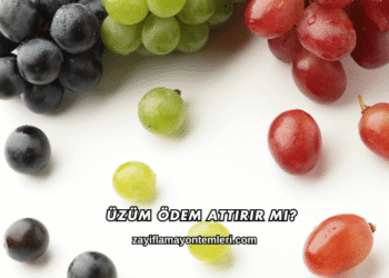 Üzüm Ödem Attırır mı?