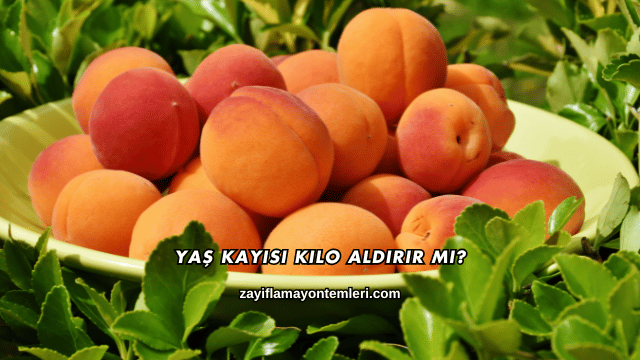 Yaş Kayısı Kilo Aldırır mı?