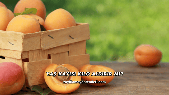 Yaş Kayısı Kilo Aldırır mı?
