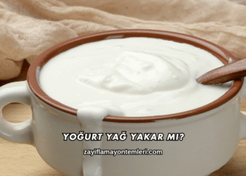Yoğurt Yağ Yakar mı?