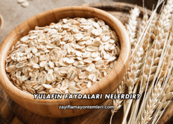 Yulafın Faydaları Nelerdir?