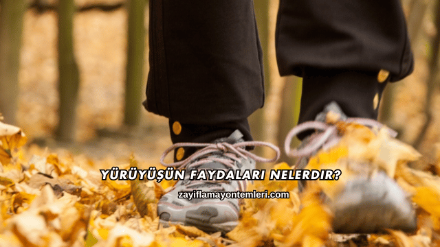Yürüyüşün Faydaları Nelerdir?