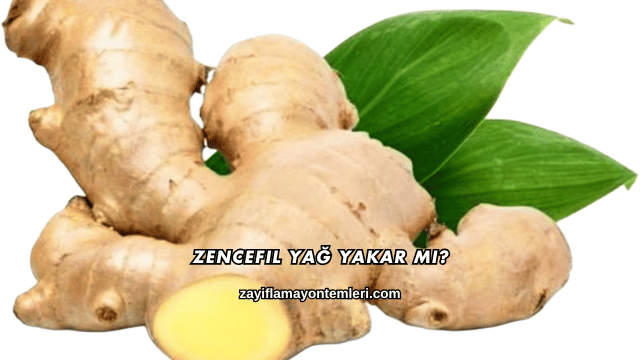 Zencefil Yağ Yakar mı?