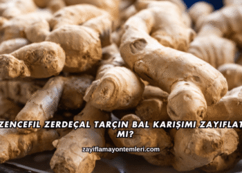 Zencefil Zerdeçal Tarçın Bal Karışımı Zayıflatır mı?