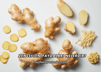 Zencefilin Faydaları Nelerdir?